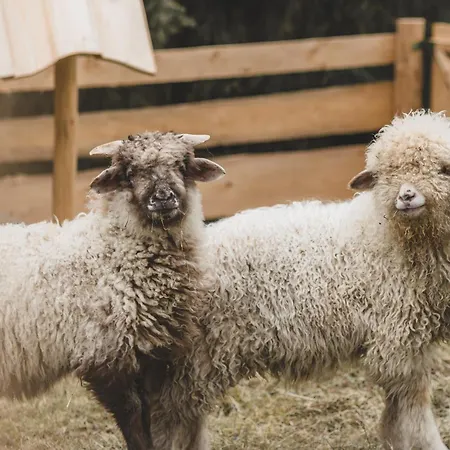 Zagroda Krowiarki Chocholow