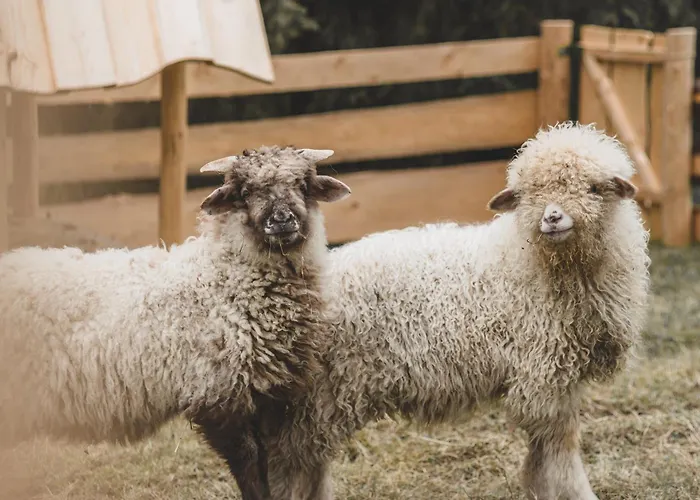 Zagroda Krowiarki Chocholow